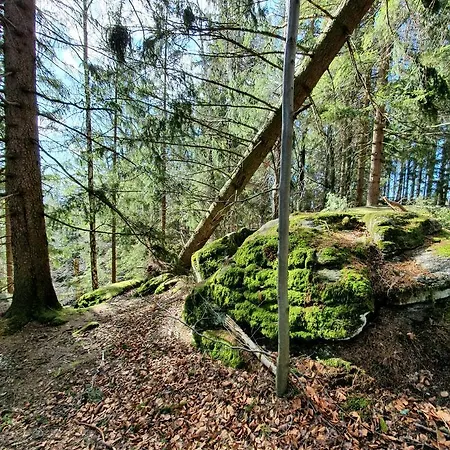 Nr 16 Lägenhet