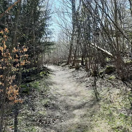 Nr 16 Apartament Szklarska Poręba